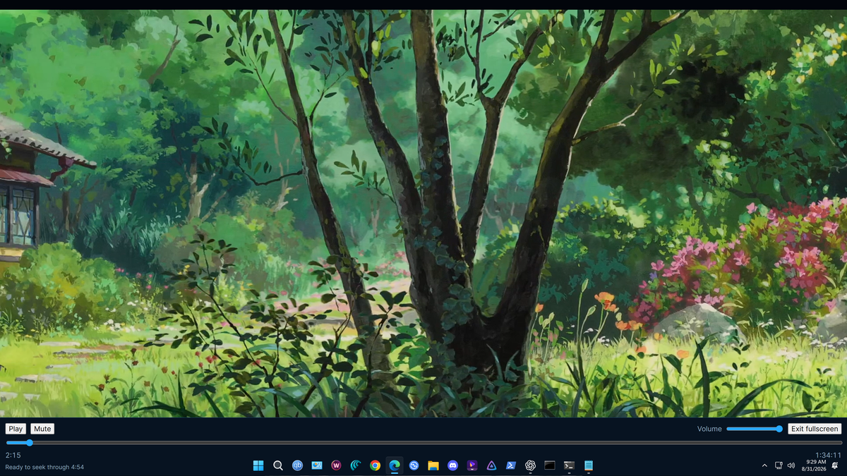 Desktop fullscreen playback screen