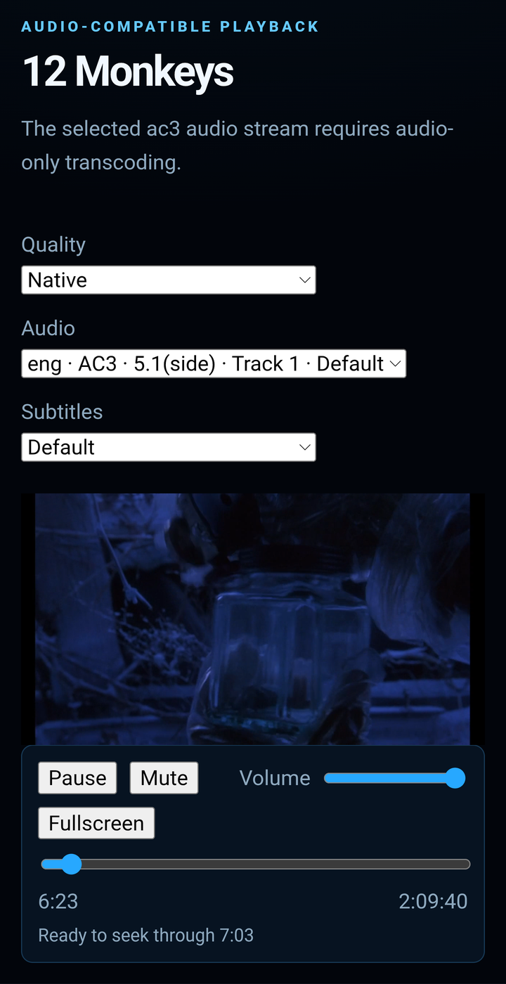 Mobile playback screen with controls and progress